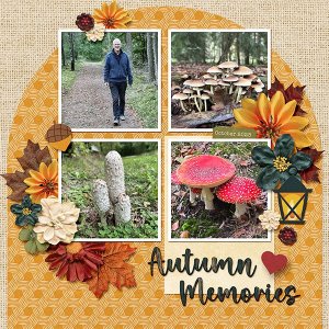 Autumn memories