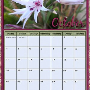October 2026 Calendar page