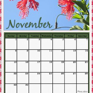 November 2026 Calendar Page