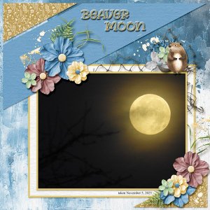 Beaver Moon small.jpg