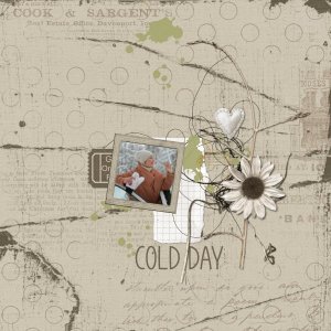Cold Day