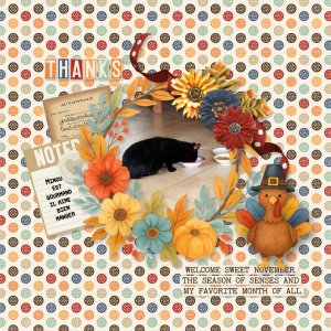 November-challenge mini kit