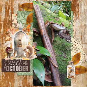 Turkey-tail-n-bamboo.webv.jpg