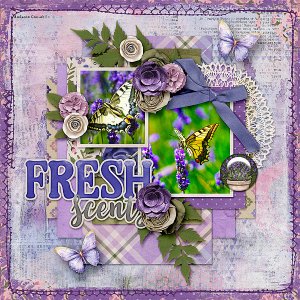 Fresh Scents