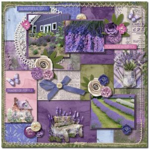 Lavender