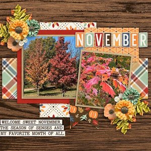 November-Calendar-web.jpg