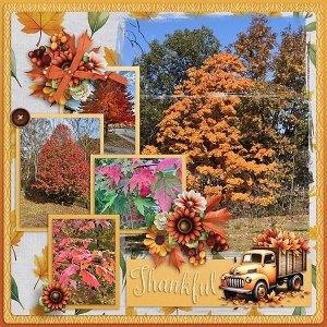 Thankful-web.jpg