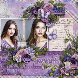 Lavender Haze