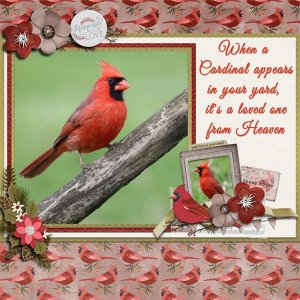 Cardinal