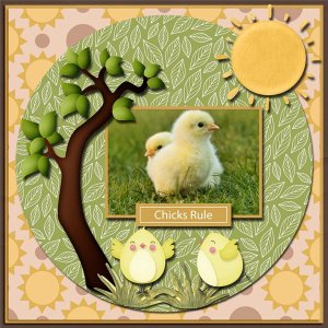 Chicks Rule