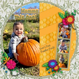 Pumpkin Patch