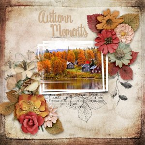 Autumn-Moments.jpg