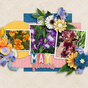May.jpg