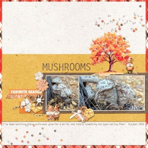 Mushrooms, October 2025