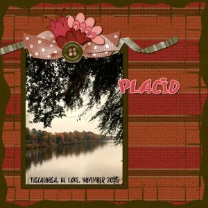 Placid
