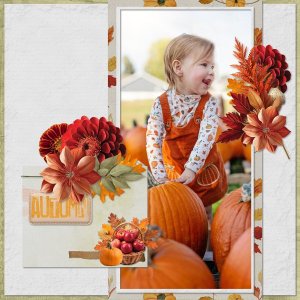 Pieces of autumn