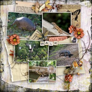 Inspiration Challenge   /Nov 2025