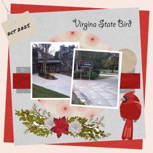 02  virgina State Line  --  Suprise.jpg