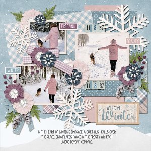 Welcome Winter