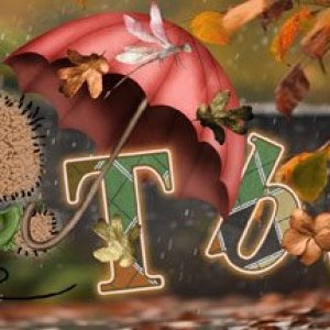 Siggy-November-in-the-Woods.jpg