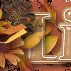 Linda Nov 2025 Siggy