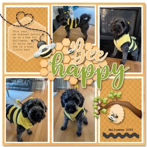 Bee Happy - Halloween 2025.jpg