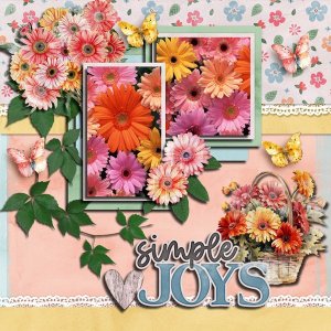 Floral-Gerberas-AH.jpg
