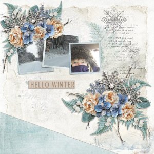 Misty November-Palvinka with November Vibes Temp 1-1-CarolW.jpg