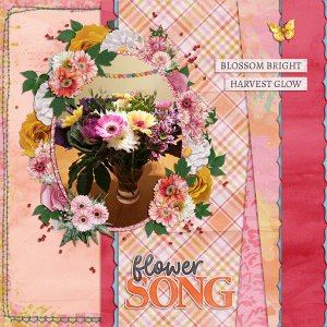 blossom bright