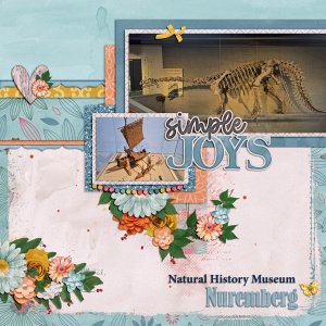 Natural History Museum-Nuremberg