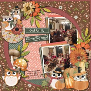 DLPatt_OwlFamilyGatherTogether_web.jpg