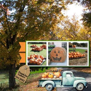 03 Fall Pumpkins  -- Memory Mix.jpg