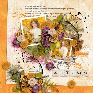 Autumn Avenues-Collection