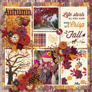 Abundantly-Autumn.jpg