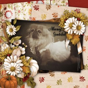 sweet Dixie