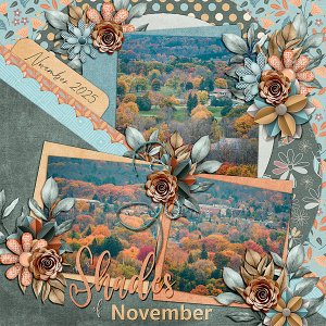 Shades of November