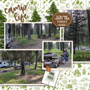 a music adventure in the forest