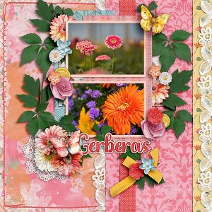 Gerberas-web600.jpg