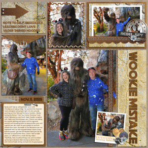 Wookie Mistake