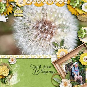 sly_countYourBlessings_1125web.jpg