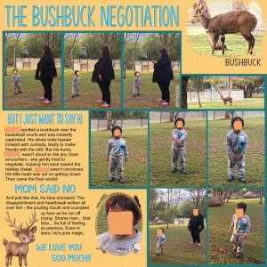 The Bushbuck Negotiation