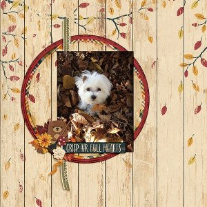 Leaf Pile