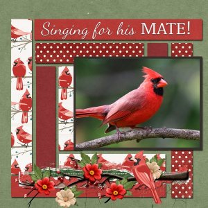 Looking for my MATE!