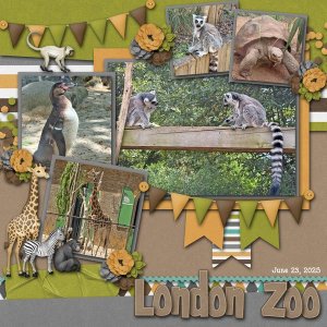 2025 November Color Challenge