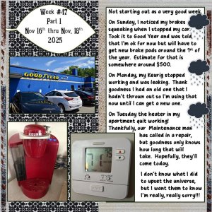 2025 Project 365 Challenge - Week 47 Part 1.jpg