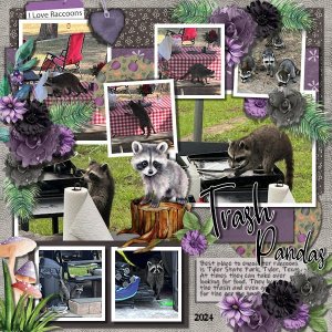 DLPatt_TrashPandas2024_web.jpg