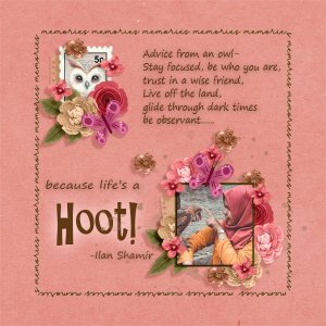 Life's-a-Hoot