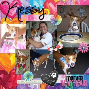 GS-DDCh-Kessy-01-Nov25.jpg