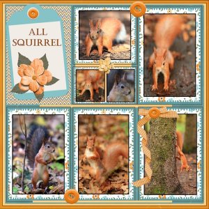 Nov. 2025 Template Challenge #1 -All squirrel.jpg
