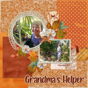 Grandma's Helper
